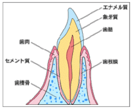 ホワイトニング1