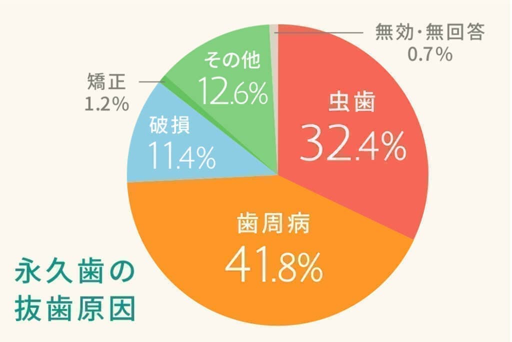予防歯科2